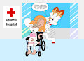 Hoppy Wheelchairs Maple into the Hospital