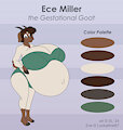 Ece Miller Reference