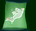 A new Dewgong for Mewtwo