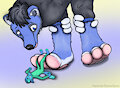 A Paw’s Pause