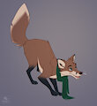 Whitetail Fox