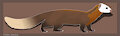 Malayan Weasel (Mustela nudipes) - animation