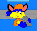 Stephen the Fox with a Shark fin in the Pool