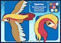 Sparrow the Pidgeot