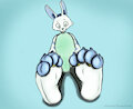 Bunny Bliss