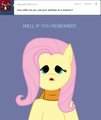 Fluttershy 003 Questions: 4