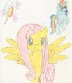 Rainbow Shy or Flutterdash by InkwellTheFox