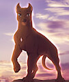 Favorite dog by Shyryp
