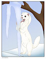 Least weasel