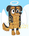 R.I.P. Maxie