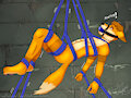 Hang in there Foxy