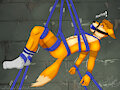 Hang in there Foxy (socks)