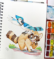 Blue Jay N' the Raccoon