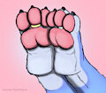 Random Paws 1
