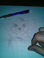 Jake kangaroo mouse