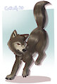 Wolf by CoffeeFly