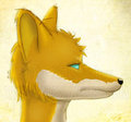 Nickale - Perfil by xsonic