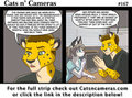 Cats n Cameras Strip #167 - Go Long , Come up Short