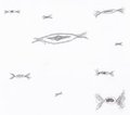 The Fleet is coming  by InkwellTheFox