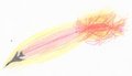 An Angel is coming on a wave of fire by InkwellTheFox