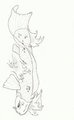 koi sketch 2