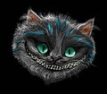 Cheshire by DragonDew