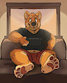Shiba Gay-mer