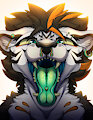 Tiger maw