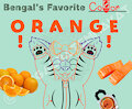 Bengal's Favorite Everything: 'Color' (3/???) by BengalBatEmmaKat