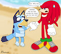 An Echidna for Real Life