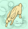 The Magic Rabbit