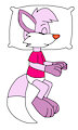 Skyline the Fox's Stuff