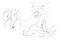 Daily Giant Elephant Routine