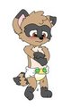 Leaky Diaper