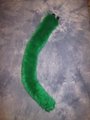 Long Haired Green Kitty Tail