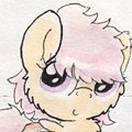 We Scootaloo