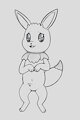 Eeevee practice