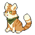 redesign