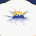 Cookie Run - King Berry Face.