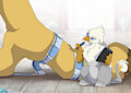 Foot Measurements