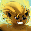 Hayley (Caulifla Outfit)