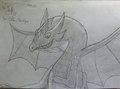 Sexy Dragon