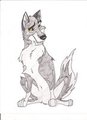 Balto