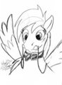 Rainbow Bridle