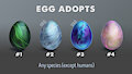 EGG Adopts - Auction (2/4 Open) by nubilum93