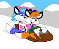 Billy and Bluebell Sleigh Down the Hill