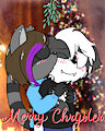 Merry Christmas! 2024