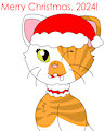 Merry Christmas 2024