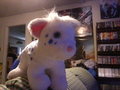 Friggen lookie what I gots!