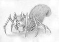Spider squirrel
